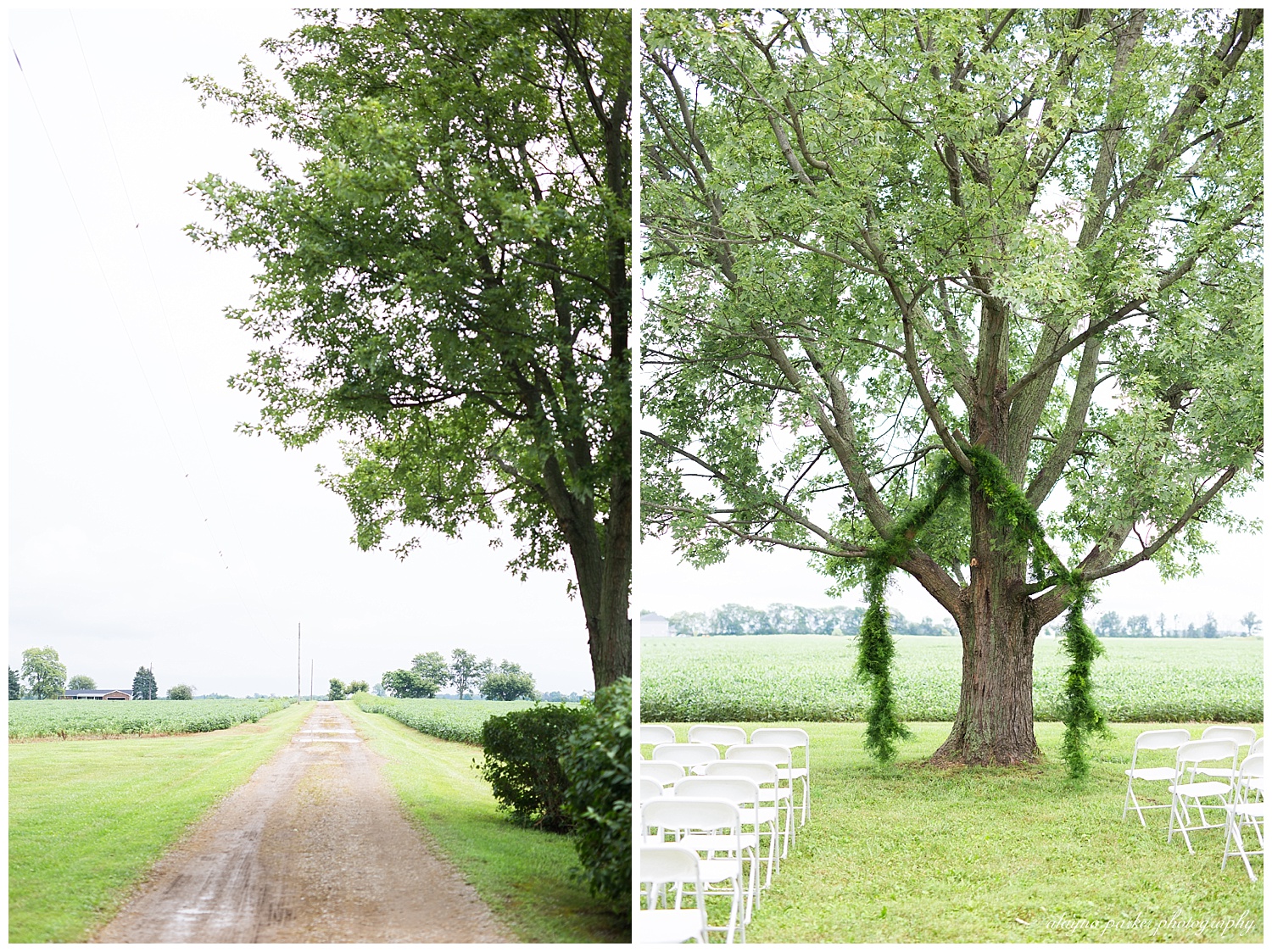 long driveway on country road
