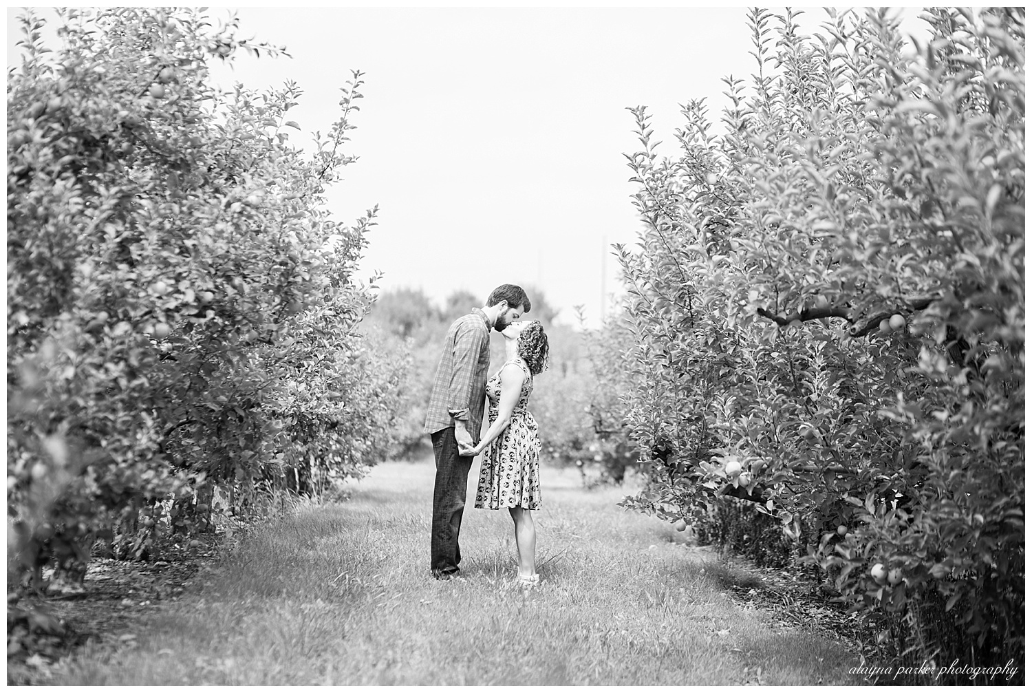 black and white image of couple kissing in apple orchard