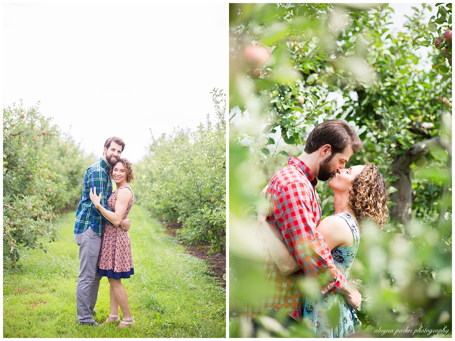 man and woman kissing behind apple tree