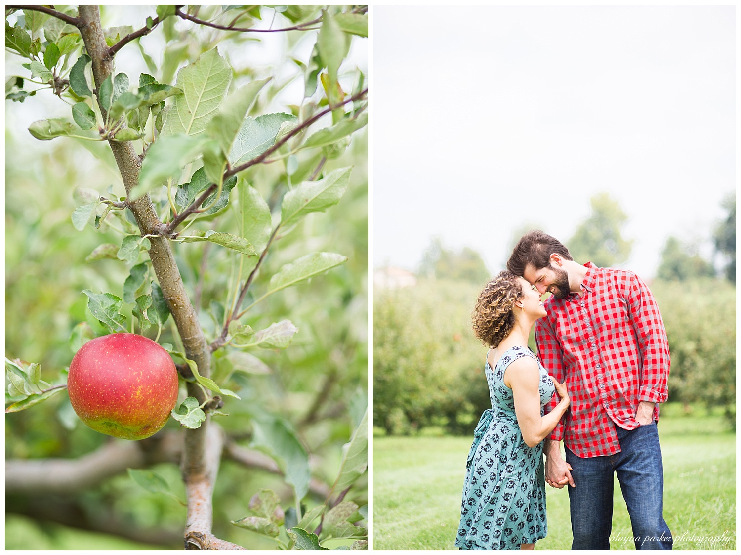 couple touching foreheads together at apple orchard