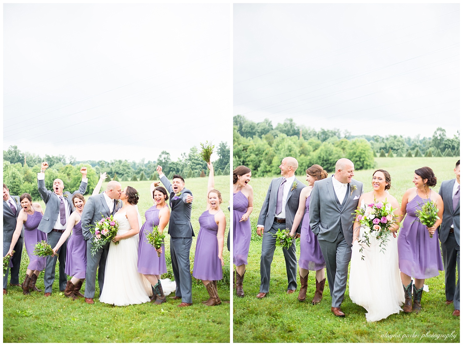 bridal party cheering while bride and groom kiss outside at the barn on enchanted acres