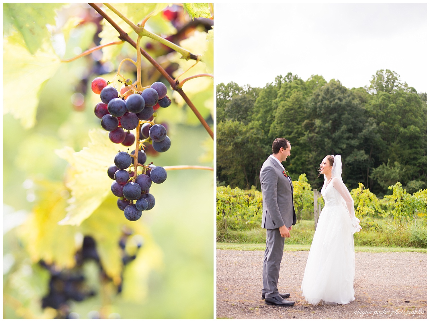 bride and groom see each other during first look at sarah's vineyard