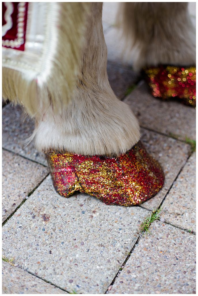 glitter on horse hoofs for baraat