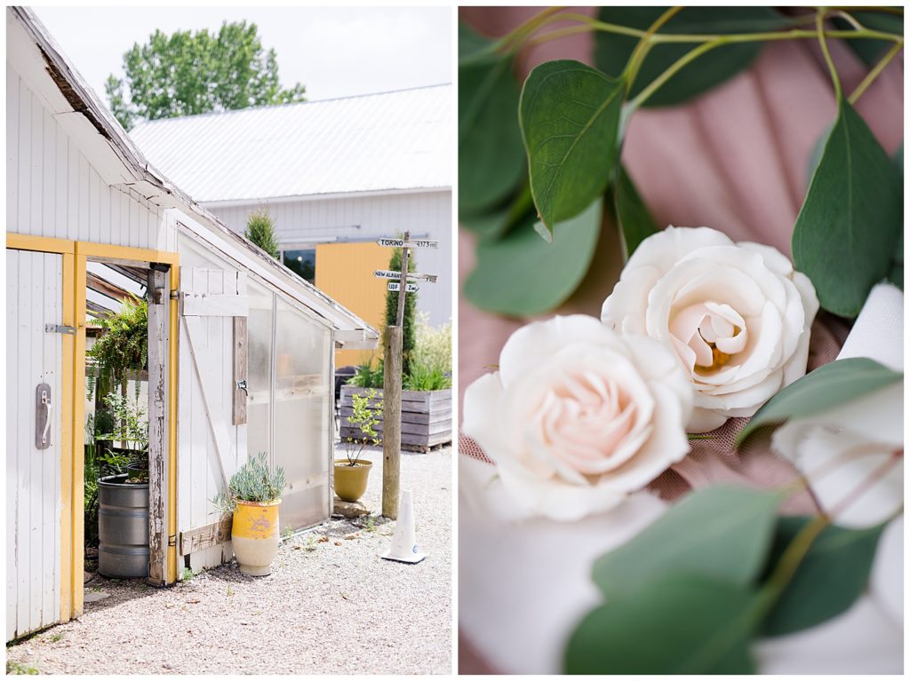 greenhouse at jorgensen farms
