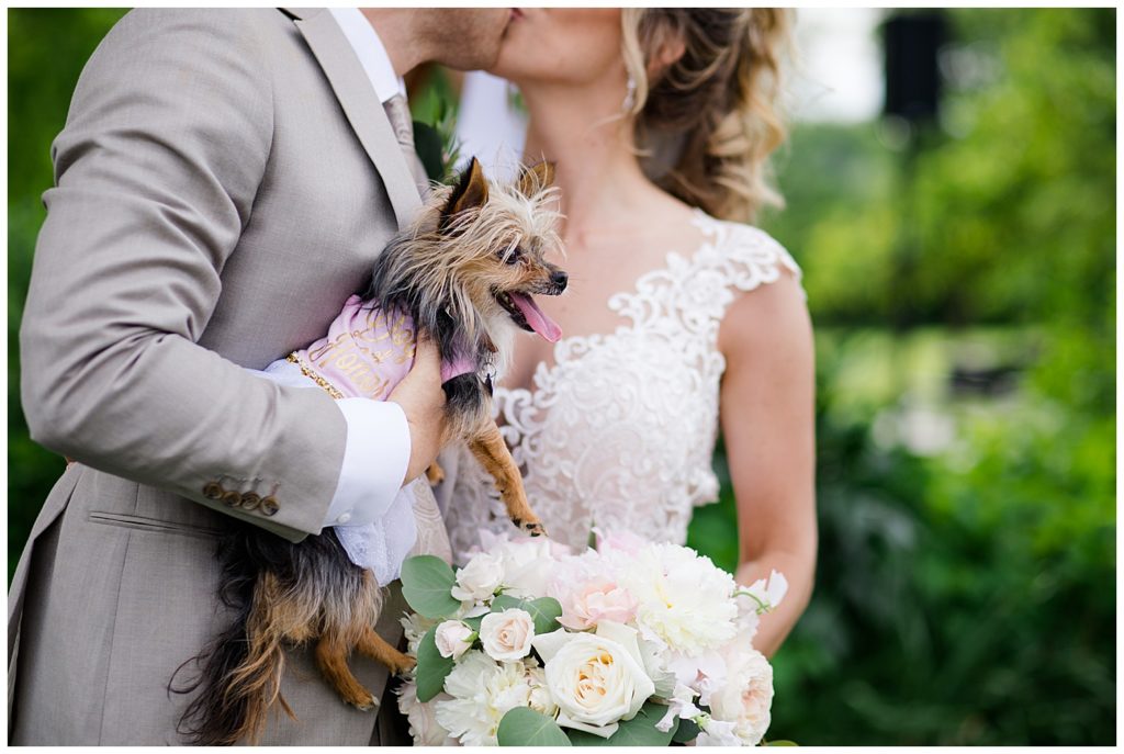 bride and groom kiss while groom holds yorkie